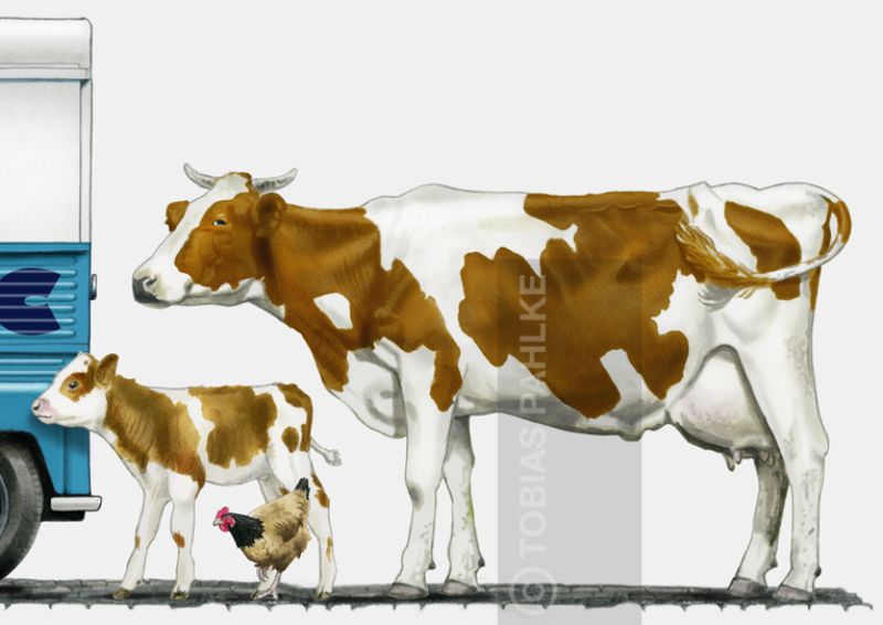 Preview: Lait Mont Blanc