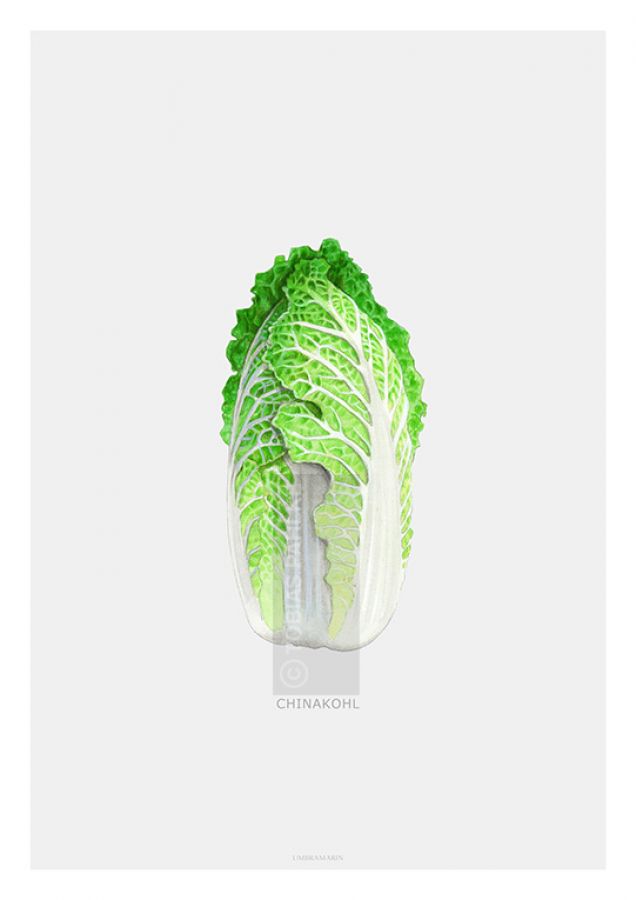 Chinese cabbage 2