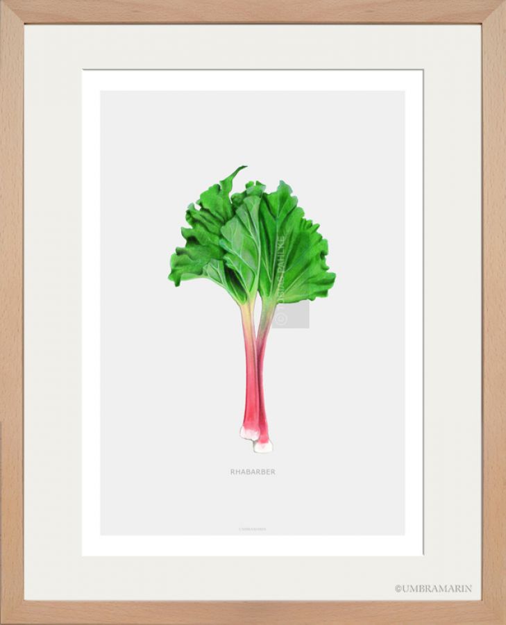 Rhubarb 3