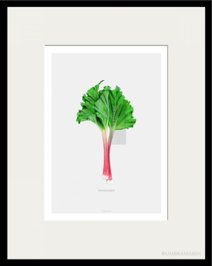 Rhubarb 1