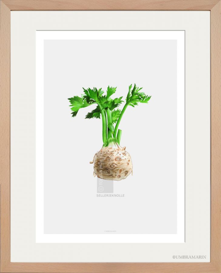 Celery Root 3