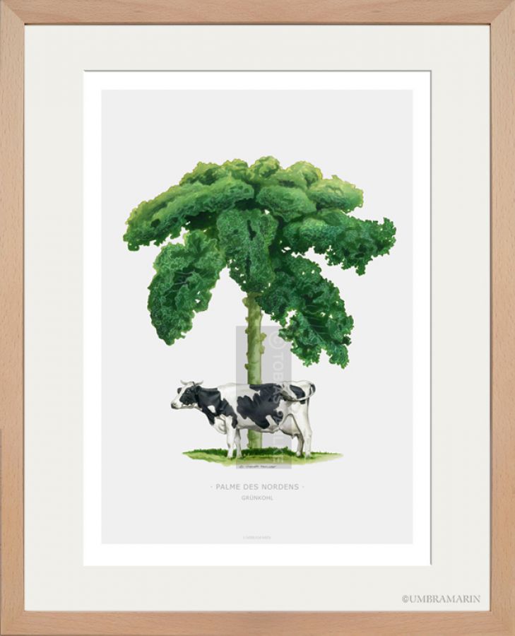 palm of the north with cow