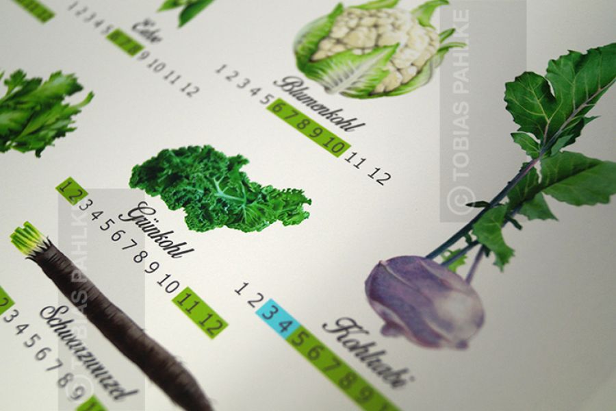 Seasonal vegetables - detail 6